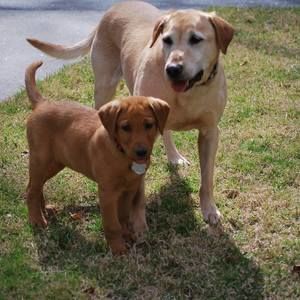 Meet your Posher, Gary